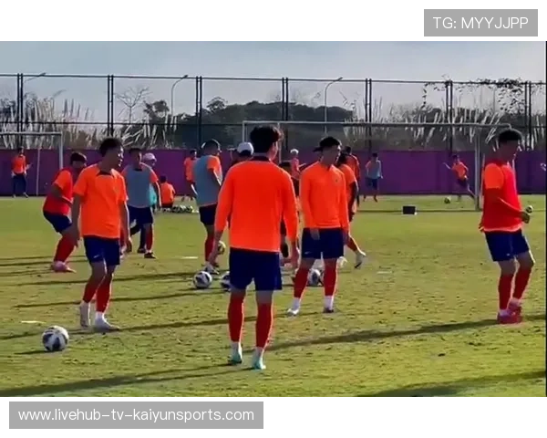 球队受伤名单更新，替补阵容面临考验，球员受伤照片